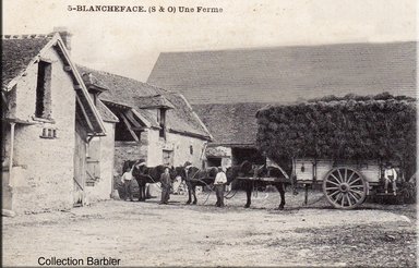 Cliquez pour agrandir l'image