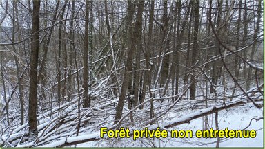 Cliquez pour agrandir l'image